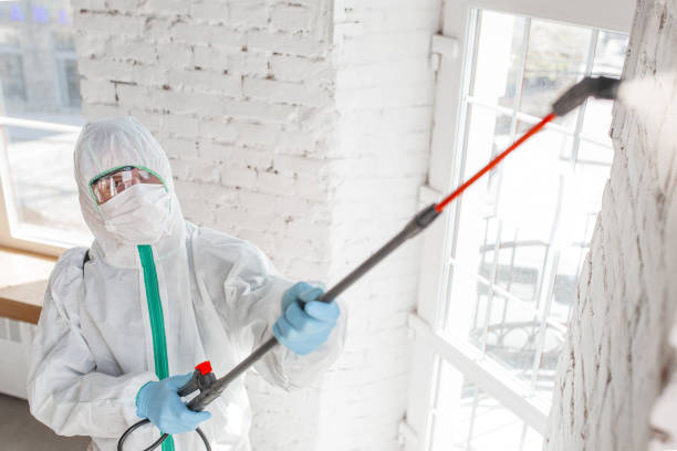 Best Mold Remediation for Rental Properties  in Cedar Rapids, IA