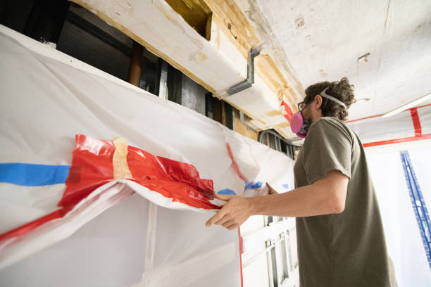 Best Commercial Mold Inspection  in Cedar Rapids, IA