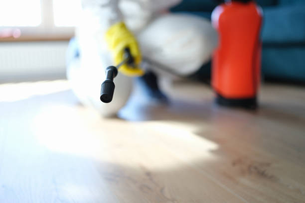 Best Airborne Mold Testing  in Cedar Rapids, IA
