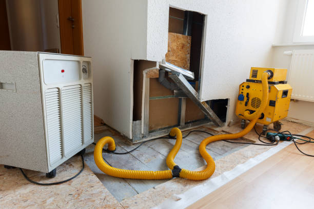 Best Asbestos and Lead Testing During Mold Inspection  in Cedar Rapids, IA