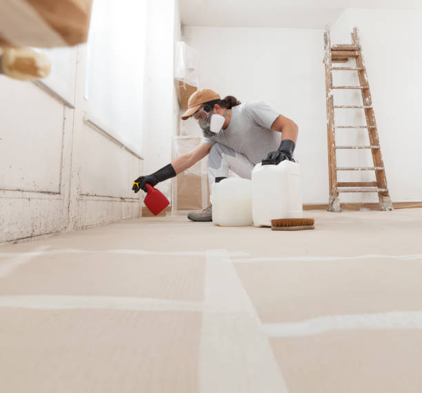 Cedar Rapids, IA Mold Removal Company