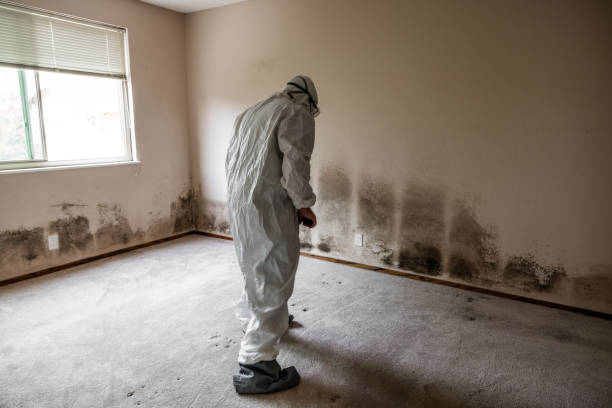 Mold Remediation for Rental Properties in Cedar Rapids, IA