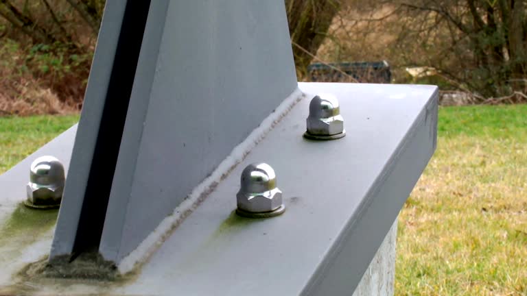 Best Attic Mold Removal  in Cedar Rapids, IA